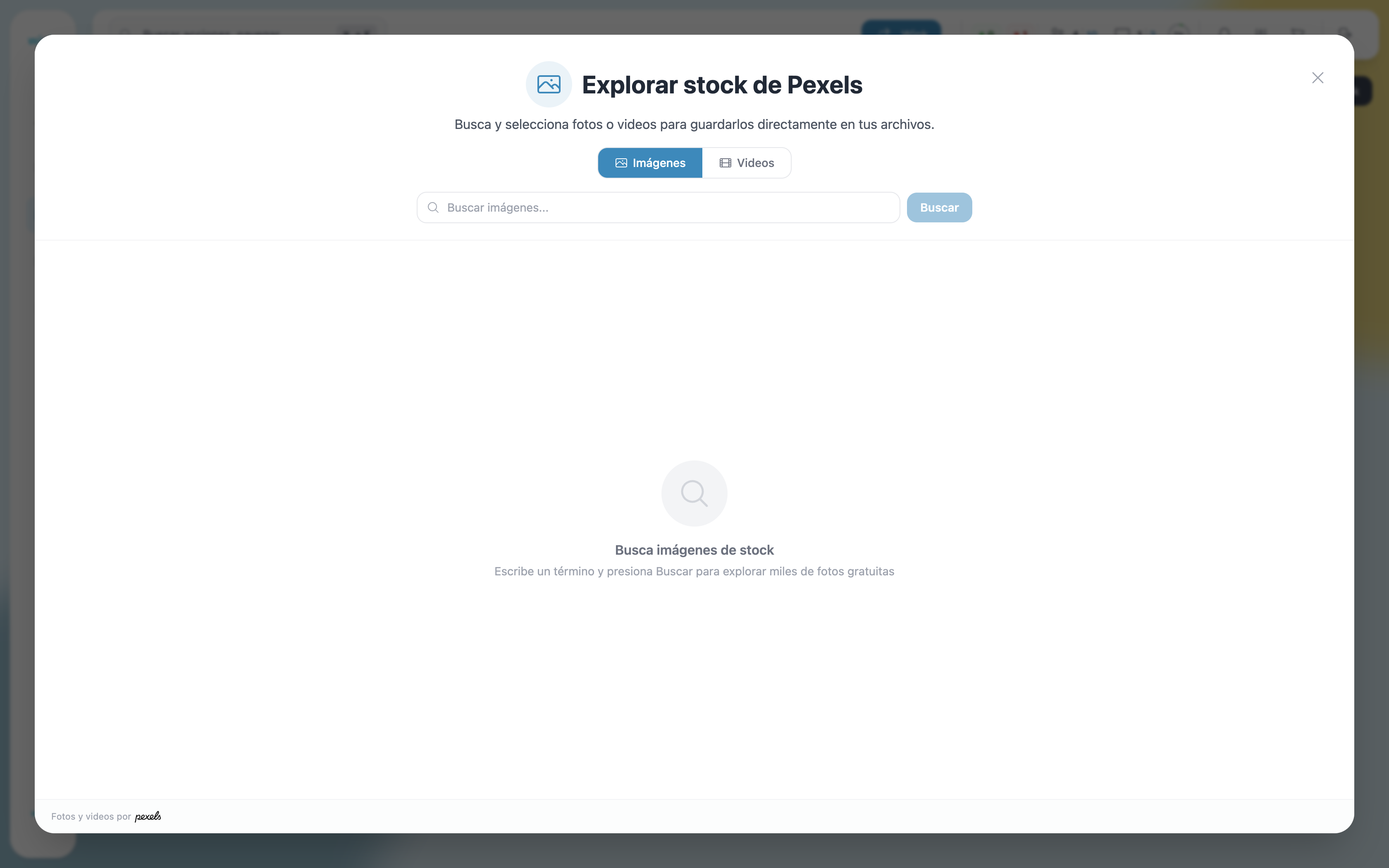 Stock explorer — empty search