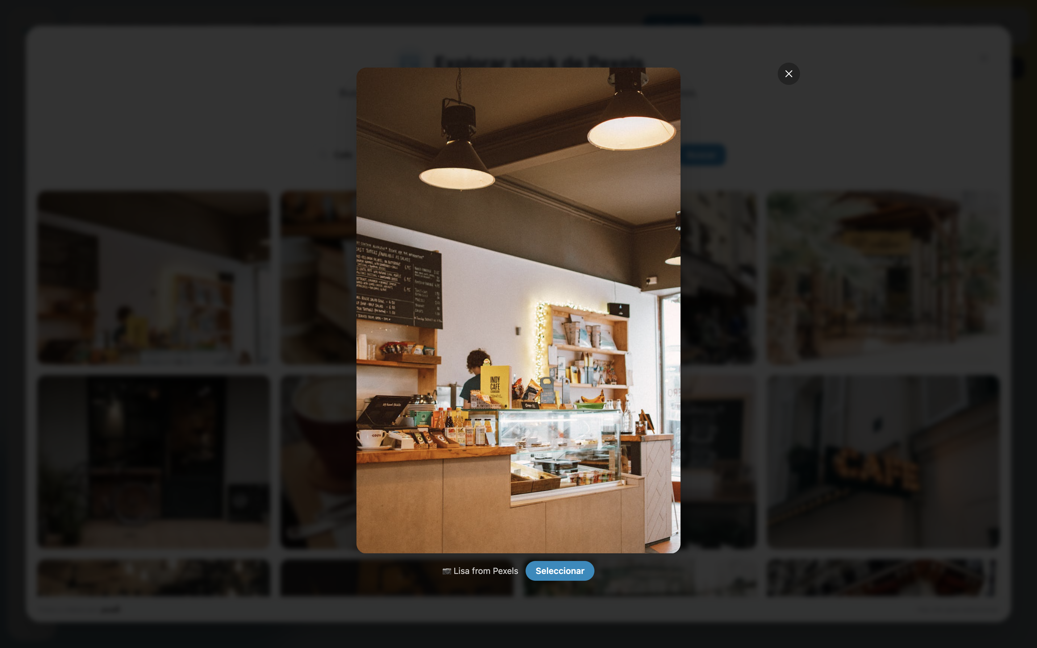 Stock explorer — file preview
