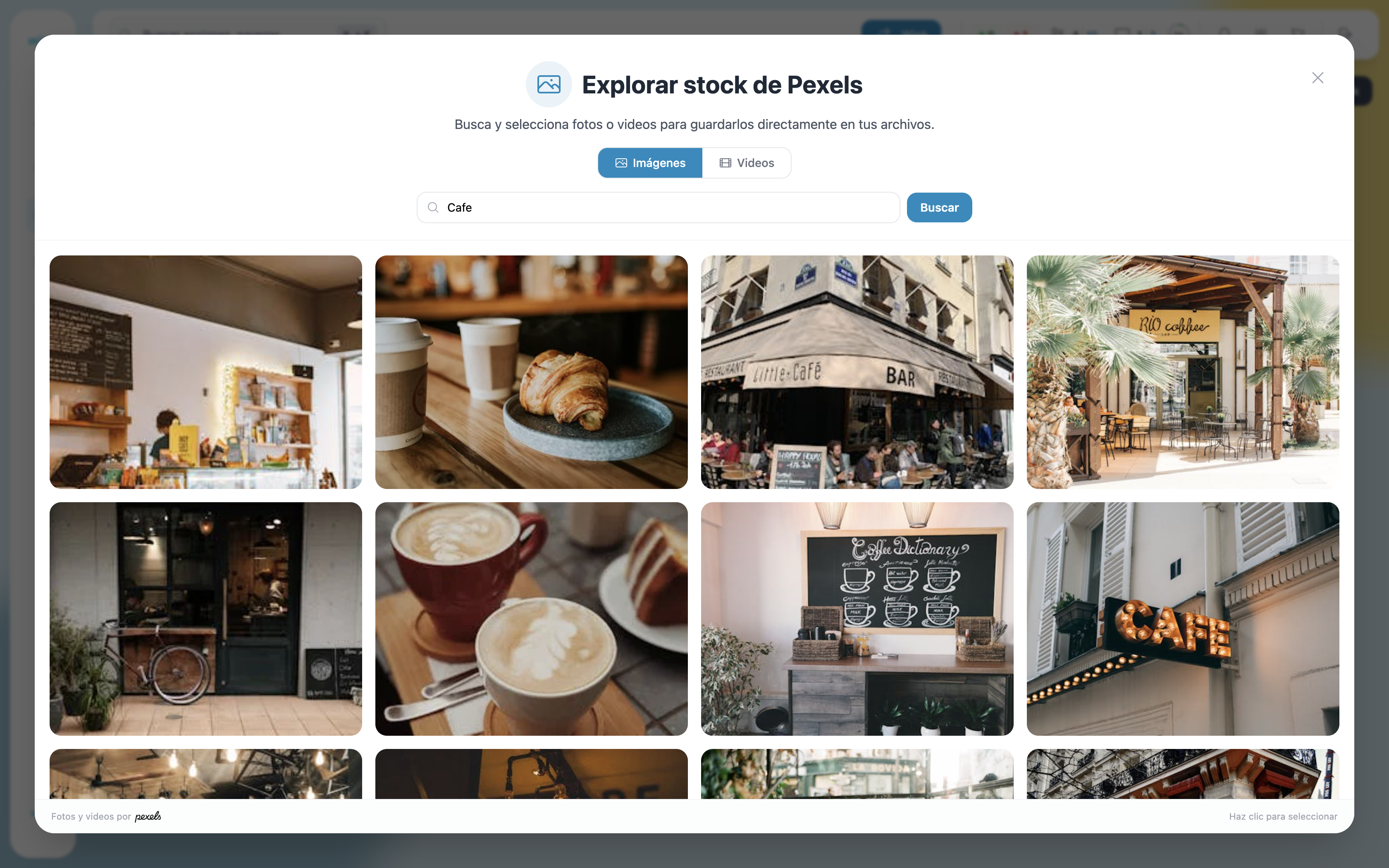 Stock explorer — search results